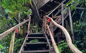 Castle Tree House And Bungalow
